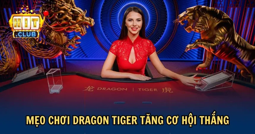 Tham khảo một số mẹo chơi Dragon Tiger